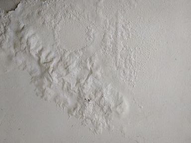 Damp wall